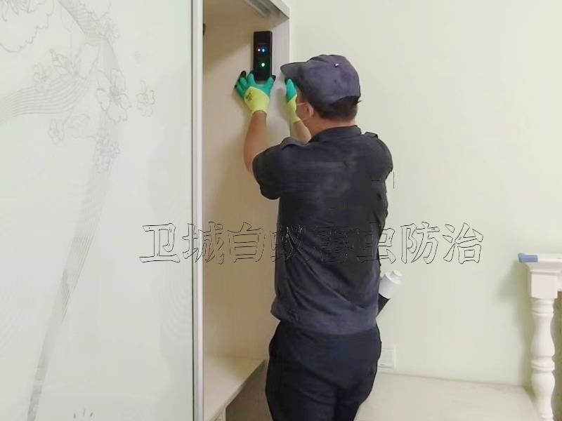 仲愷防治白蟻中心,仲愷白蟻防治所（質(zhì)優(yōu)價便）