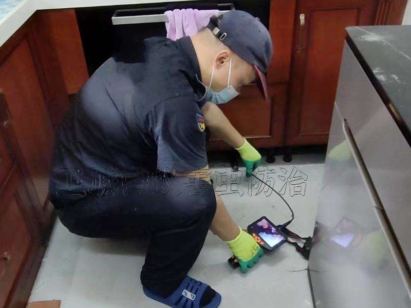 潮州潮安白蟻防治中心_潮安滅白蟻公司讓您100%滿意