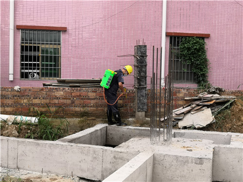 東莞市虎門鎮(zhèn)白蟻防治中心 - 本地師傅專門滅除白蟻服務