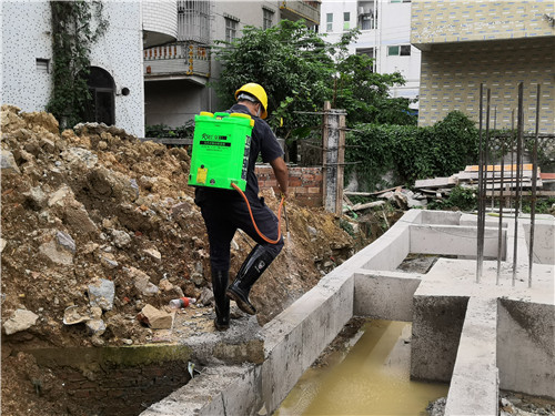 深圳市寶安區(qū)民治白蟻防治中心