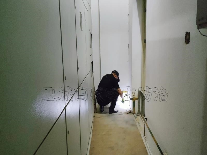 惠州市博羅縣園洲鎮(zhèn)白蟻防治中心