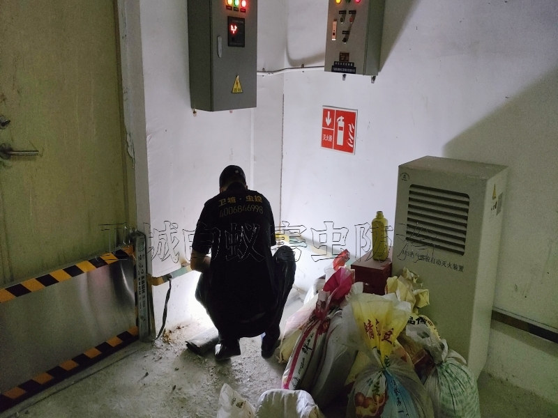 澄海區(qū)白蟻防治_澄海滅白蟻公司_汕頭市衛(wèi)城白蟻防治有限公司