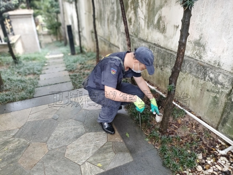 汕頭潮陽(yáng)區(qū)白蟻防治中心_潮陽(yáng)滅白蟻公司_汕頭市衛(wèi)城白蟻防治有限公司