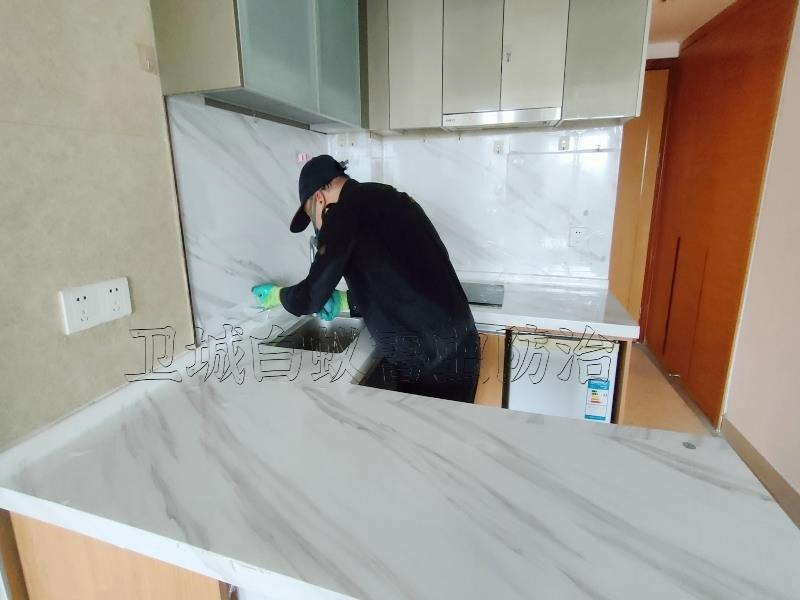 深圳市福永白蟻消殺公司-福永白蟻行業(yè)專家