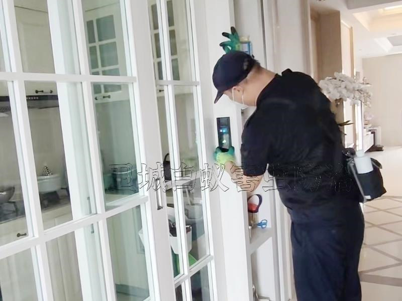 惠州市博羅縣石壩鎮(zhèn)白蟻防治中心
