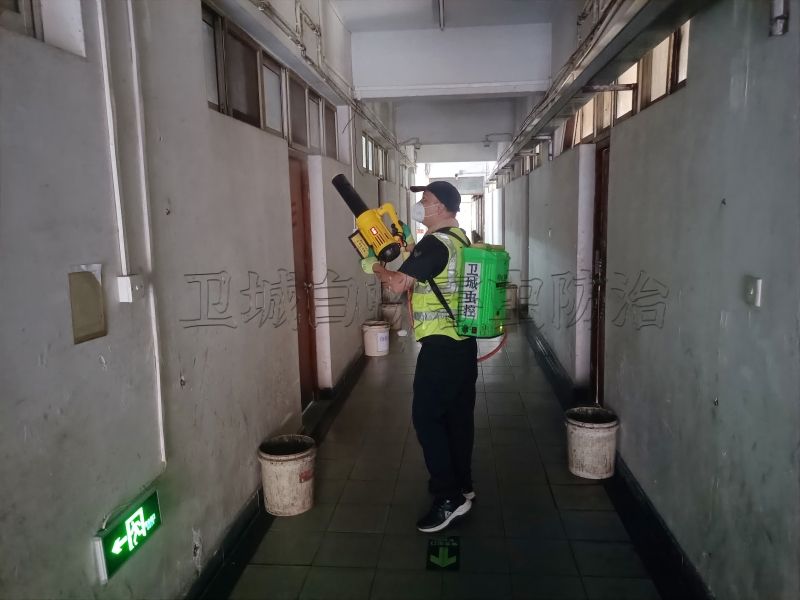 惠州滅蒼蠅公司丨惠州殺蒼蠅防治中心上門除蟲害服務好