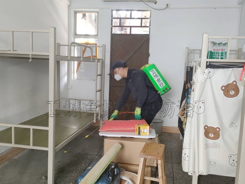 東莞常平臭蟲防治中心-黃江殺蟲公司不二之選 {除四害殺蟲滅鼠服務(wù)}東莞除蟲