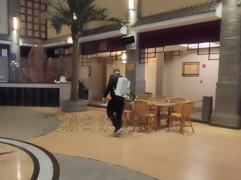 東莞虎門臭蟲防治中心-大嶺山專業(yè)宿舍殺臭蟲跳蚤 {東莞厚街除四害服務(wù)}滅白蟻