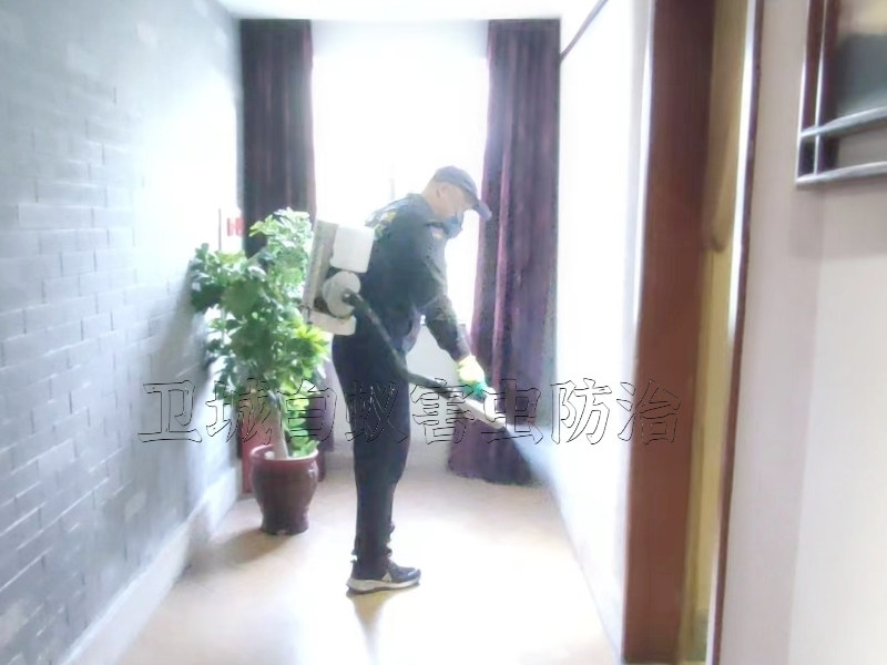 東莞長(zhǎng)安臭蟲防治中心-塘廈大嶺山殺臭蟲跳蚤 {東莞樟木頭鳳崗除四害}滅蟑螂