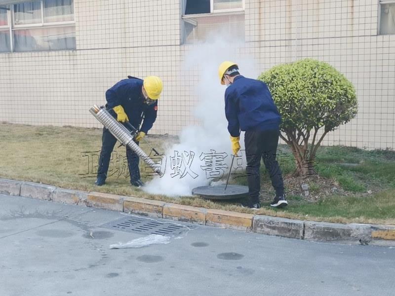 東莞謝崗除四害服務(wù)機(jī)構(gòu)單位｛謝崗臭蟲防治服務(wù)｝市政推薦謝崗鎮(zhèn)殺蟲公司