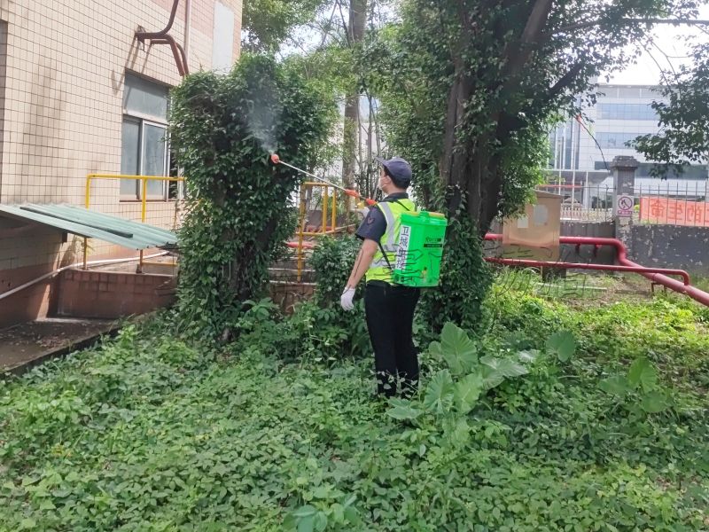 惠州市博羅縣羅陽鎮(zhèn)白蟻防治中心