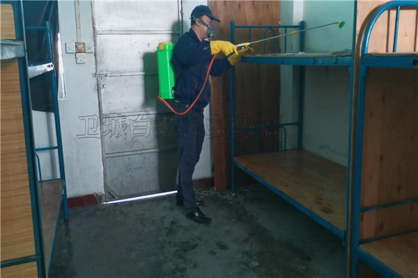 深圳龍華臭蟲防治-深圳滅蜘蛛跳蚤滅鼠工程企業(yè)推薦龍華白蟻防治專家