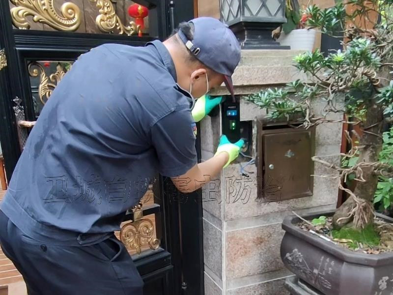 深圳羅湖白蟻消殺管理處，羅湖白蟻防治電話號(hào)碼是多少
