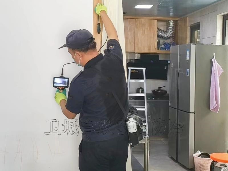 惠州市博羅縣楊僑鎮(zhèn)白蟻防治中心
