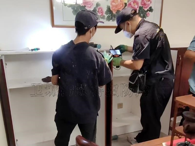 東莞市寮步鎮(zhèn)白蟻防治中心 - 本地師傅滅白蟻標準化規(guī)范服務
