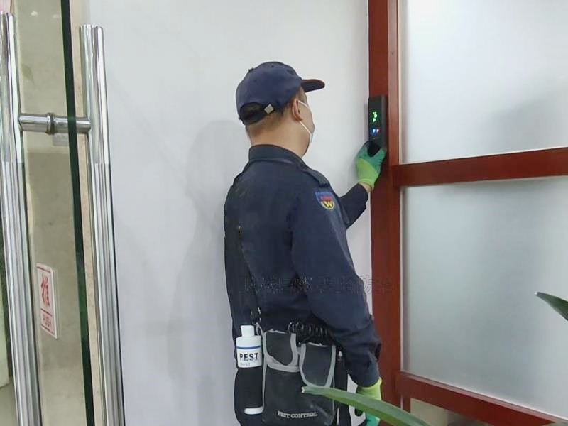 龍湖滅白蟻公司_(專業(yè)快速不二之選 )丨汕頭龍湖白蟻防治中心