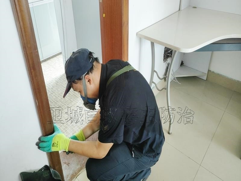 普寧市白蟻防治中心電話推薦_普寧滅白蟻公司_普寧市衛(wèi)城白蟻防治有限公司