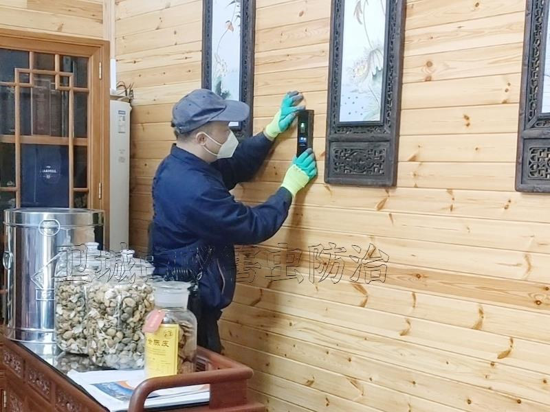 澄海滅白蟻公司_(推薦本地師傅)汕頭澄海白蟻防治中心