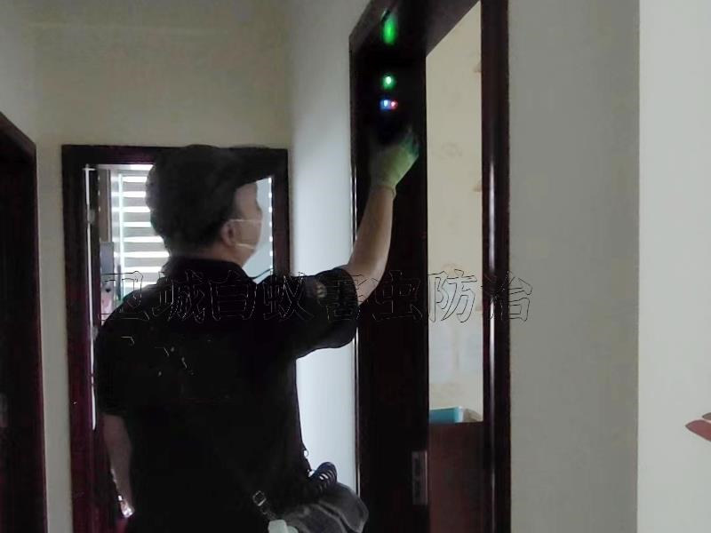 惠陽三和正規(guī)白蟻防治公司,三和滅殺白蟻中心