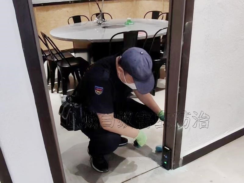 廣州魚珠白蟻防治,黃埔魚珠白蟻防治,魚珠滅白蟻