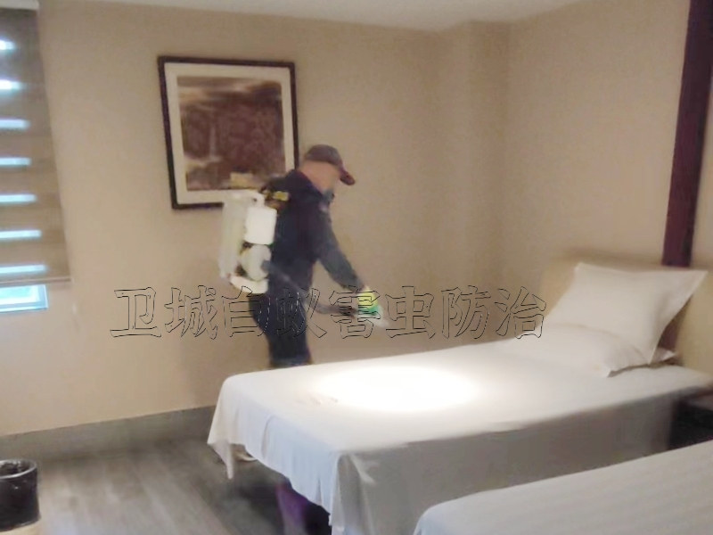 惠州工廠消毒殺蟲,惠州工廠宿舍殺臭蟲滅跳蚤除蟲經(jīng)驗豐富