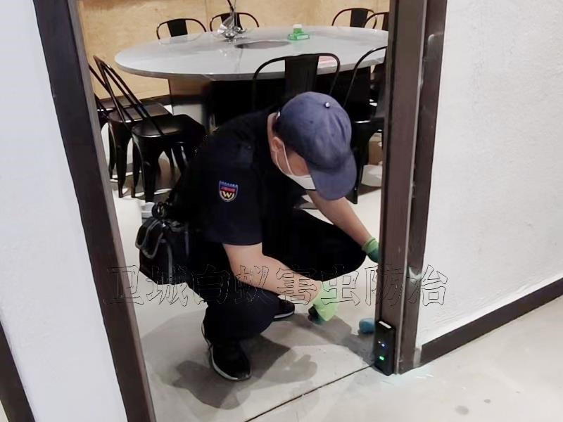 茶山白蟻防治滅白蟻公司
