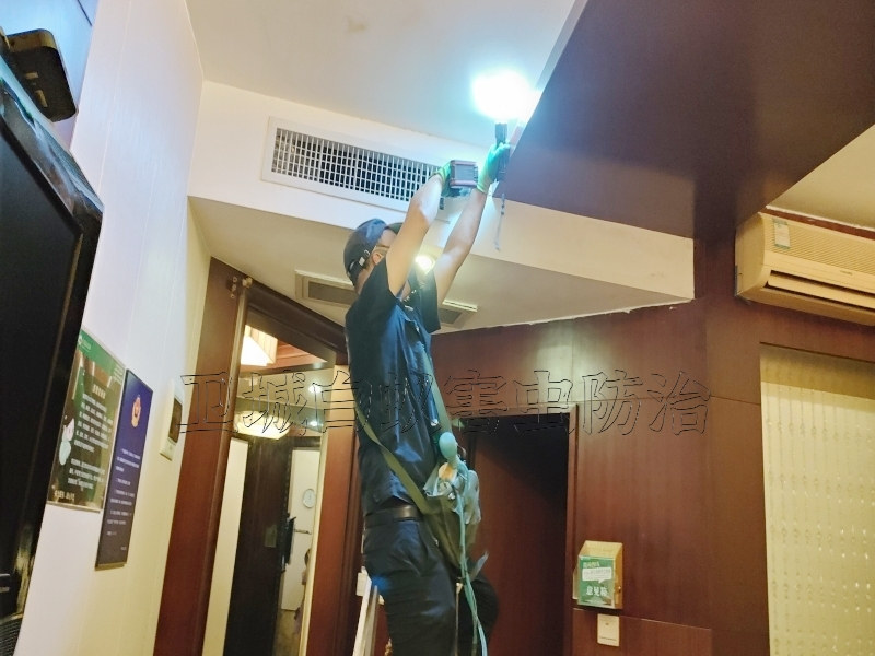 松崗白蟻防治,松崗滅白蟻公司