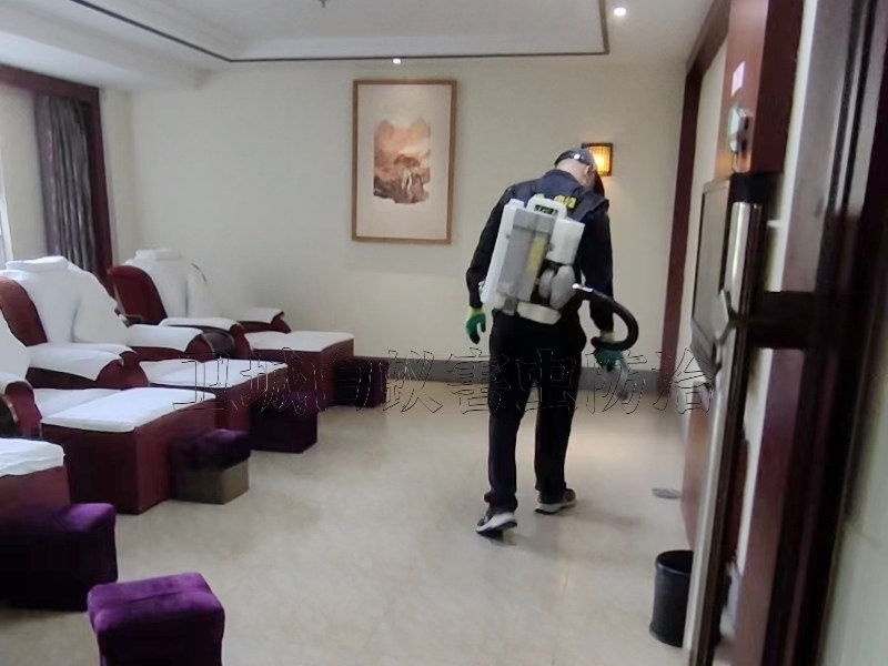 知道為什么蟑螂不能用腳踩嗎？惠州惠陽殺蟲公司丨惠陽淡水工廠除蟲滅鼠