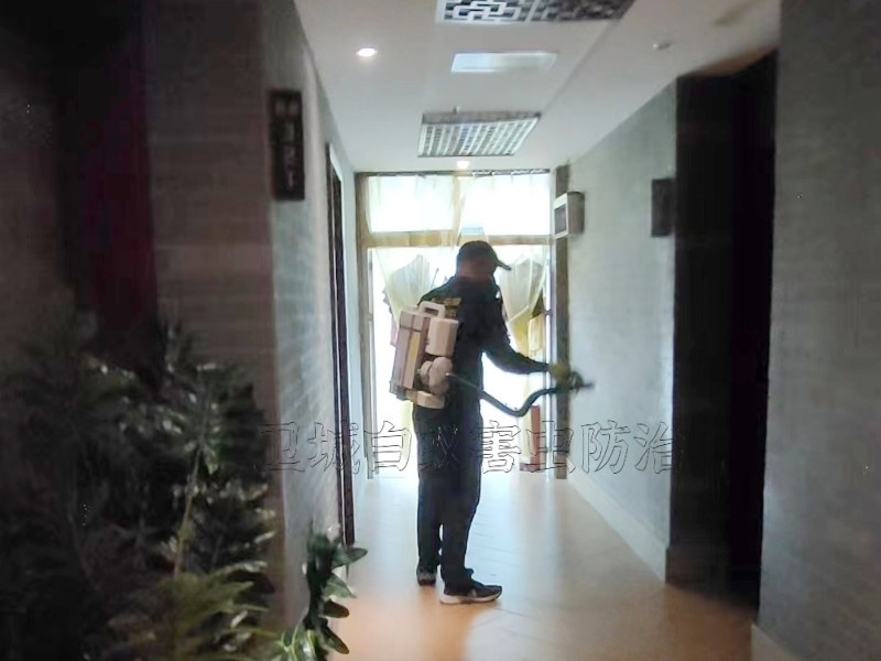惠州滅鼠公司,惠州老鼠防治