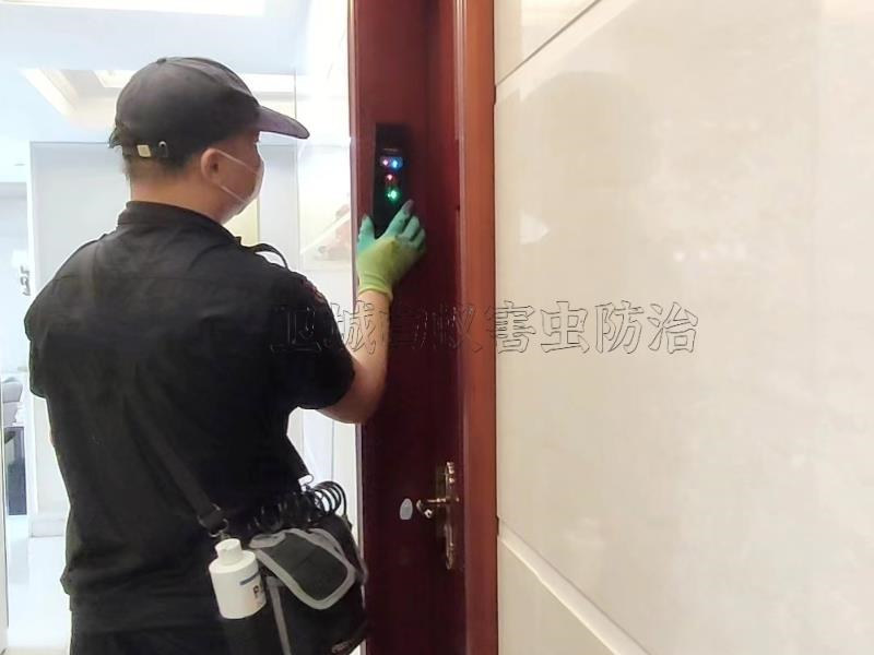 惠州白蟻防治中心-我市正處于白蟻出入的季節(jié)，自察你家有沒有中招？