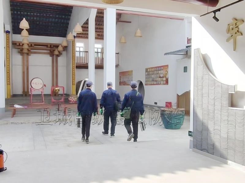 惠陽(yáng)白蟻防治中心,惠州惠陽(yáng)淡水家居白蟻滅治案例