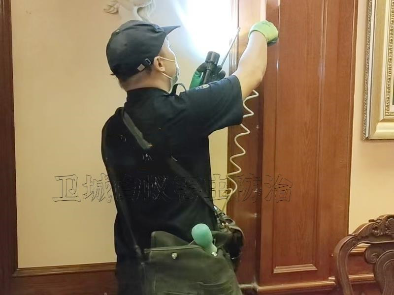 博羅縣白蟻防治|惠州博羅滅白蟻|博羅殺白蟻中心
