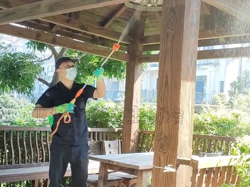 博羅縣白蟻防治|惠州博羅滅白蟻|博羅殺白蟻中心