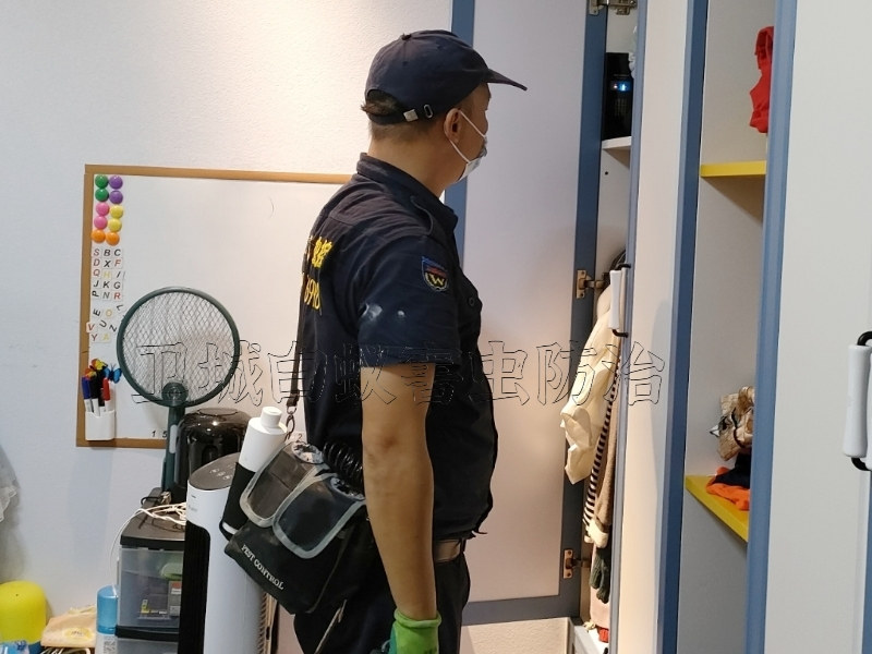 惠東縣白蟻防治|惠東專業(yè)滅白蟻公司徹底治根殺白蟻