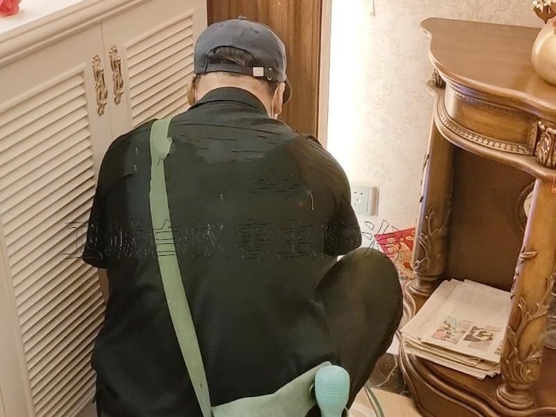 東莞塘廈滅白蟻公司,鳳崗殺白蟻中心,樟木頭裝修預(yù)防白蟻