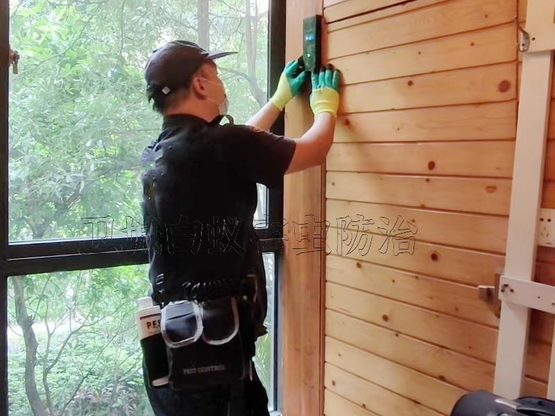 滅治白蟻常用的工具-淡水白蟻防治中心，淡水滅白蟻