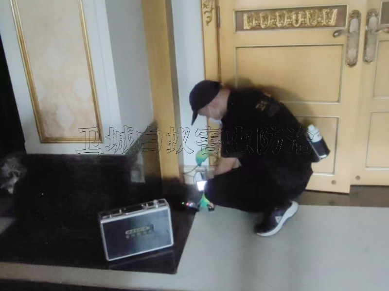 平潭白蟻防治-滅除白蟻-消殺白蟻中心專注蟲害服務一次見效