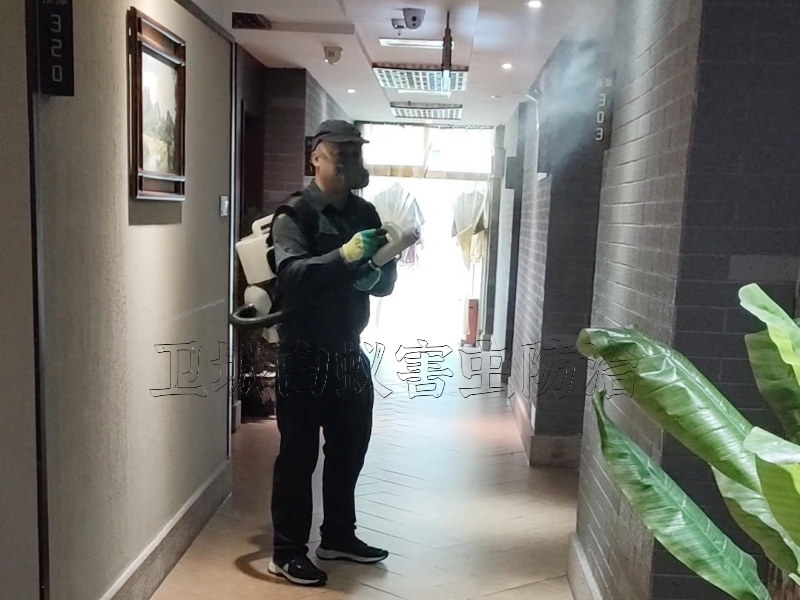 淡水裝修防白蟻質(zhì)量有保證