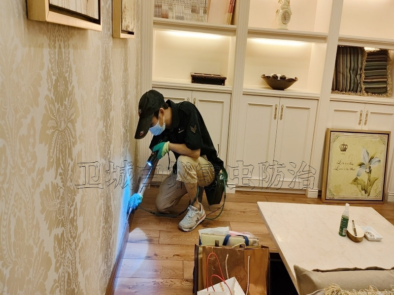 惠州橫瀝白蟻防治_白蟻對埋地電纜和交通設(shè)施的危害