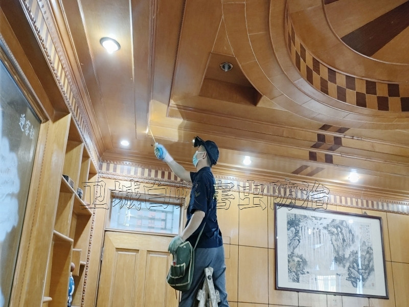 朱村白蟻防治殺滅白蟻【資質認證企業(yè)推薦】_增城朱村滅白蟻公司