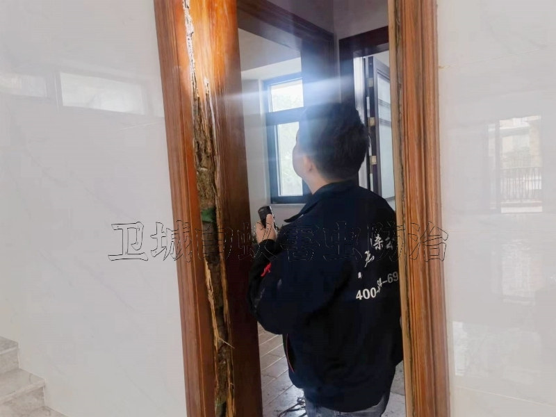 黃埔區(qū)白蟻防治哪家比較好_黃埔白蟻防治_廣州滅白蟻公司