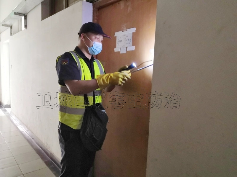 塘廈白蟻防治，塘廈滅白蟻中心