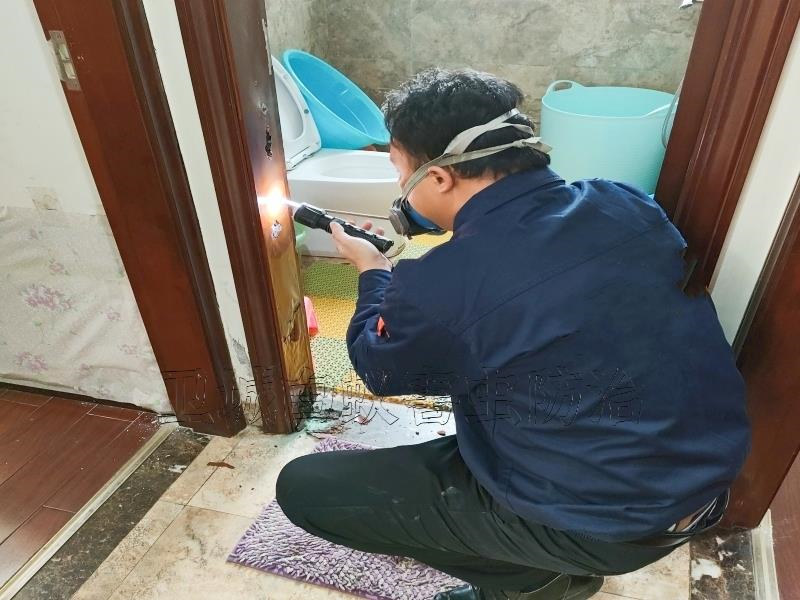 荔灣茶滘白蟻防治中心丨荔灣消殺白螞蟻安全可靠丨茶滘白蟻防治首選