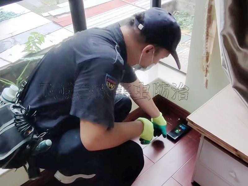 人和白蟻防治公司丨人和白蟻防治消殺公司丨廣州人和滅白蟻信譽保證