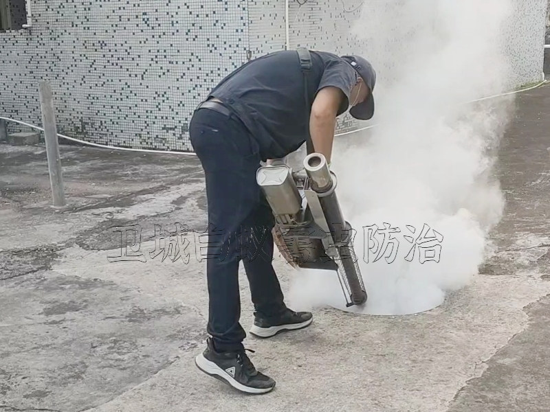 惠州鎮(zhèn)隆滅臭蟲一次見效_陳江殺臭蟲防治您的放心選擇