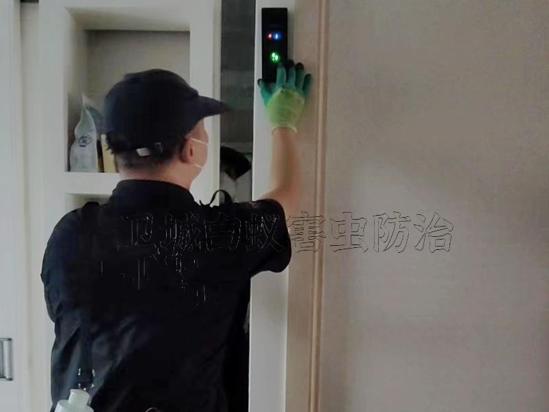 萬江白蟻防治，萬江滅白蟻公司