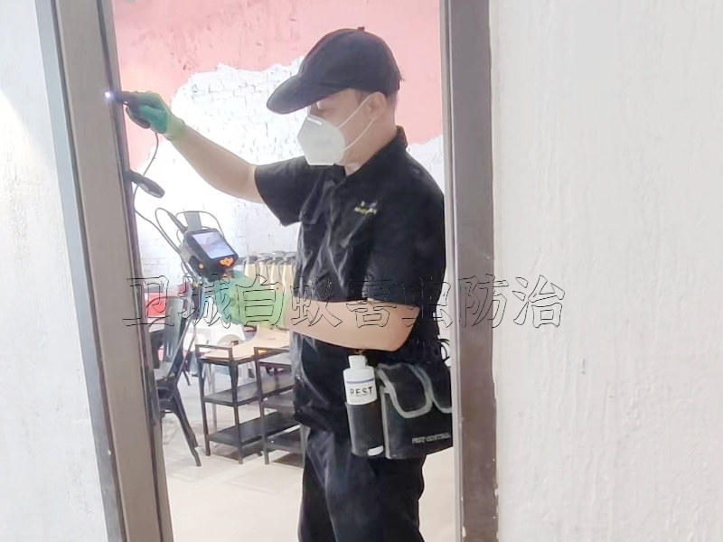 寮步白蟻防治中心,大嶺山白蟻防治滅除白蟻一對一全程跟蹤服務(wù)